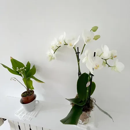 Charming Bright 1 Min From Place D'italie For 5 Párizs